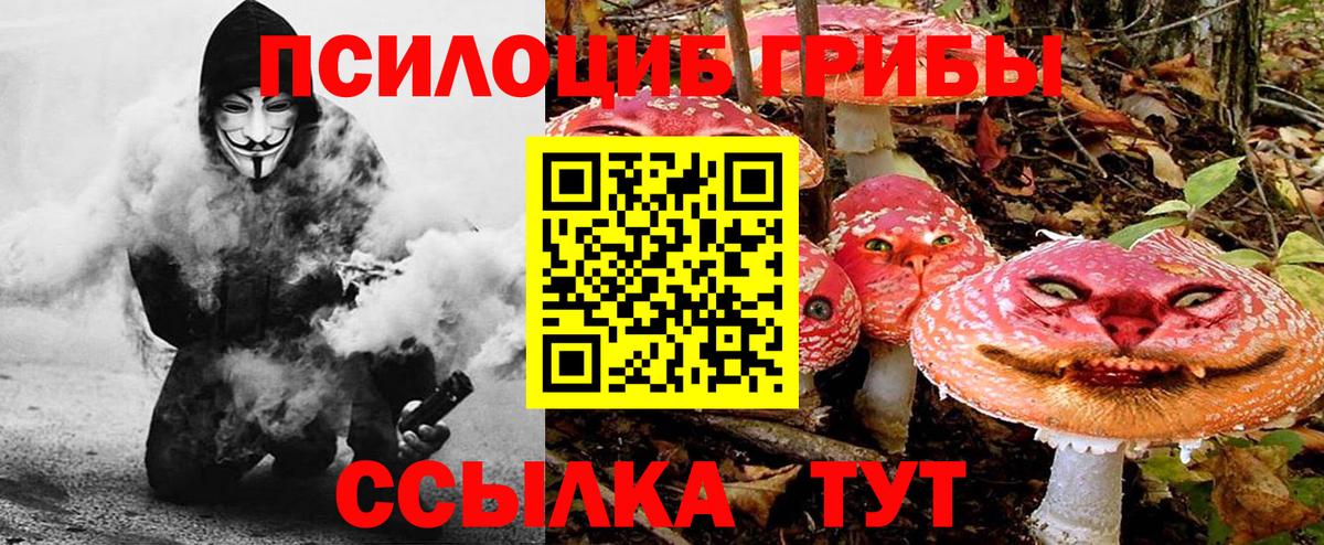 Сертолово  что такое наркотик  Галлюциногенные грибы Cubensis  Вход с VPN  Псилоцибиновые грибы Cubensis 