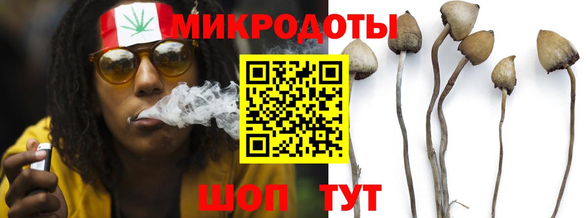 Галлюциногенные грибы MAGIC MUSHROOMS Сертолово